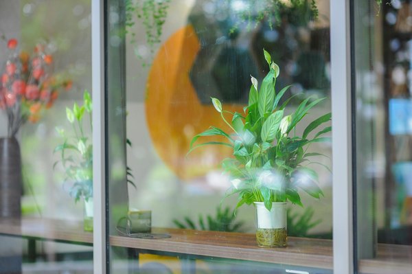 Chaussures ted baker : style et tendance au quotidien