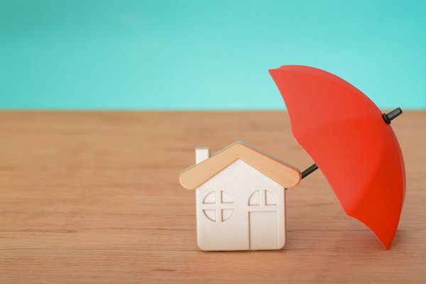 Les meilleures options d'assurance tns proposées par pro btp